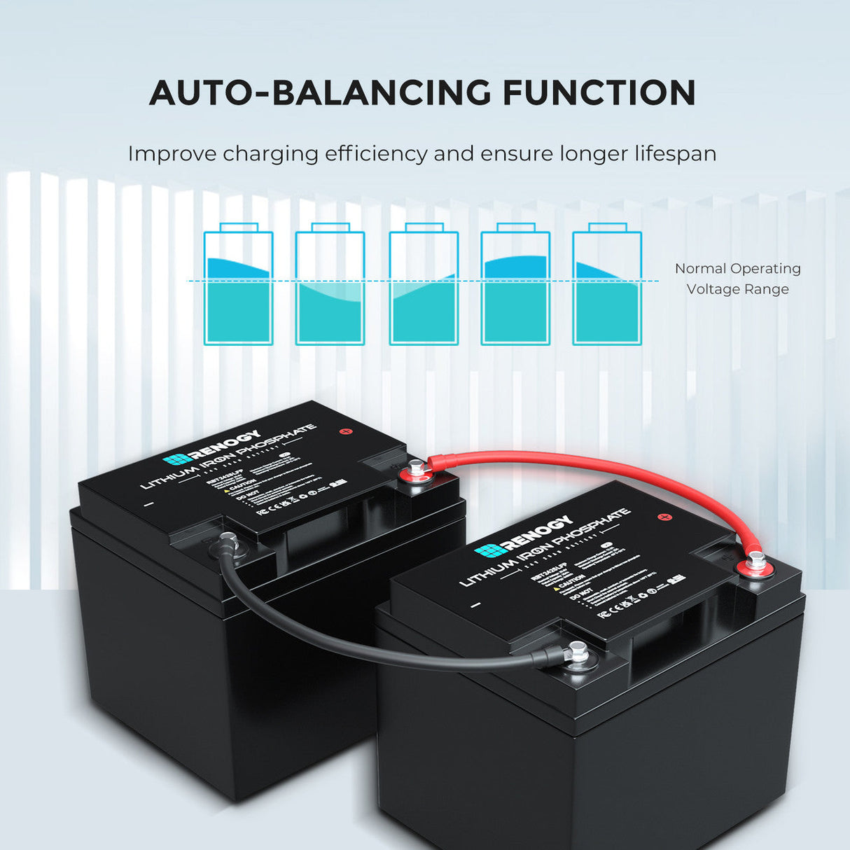 Batterie Lithium Fer Phosphate (LiFePO4) intelligente 24 V 25 Ah