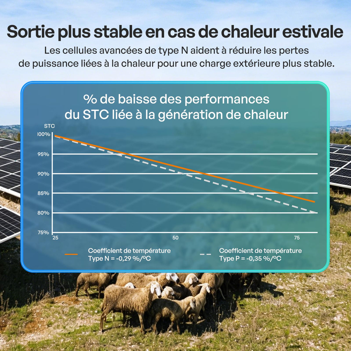100W Panneau Solaire Bifacial N-Type