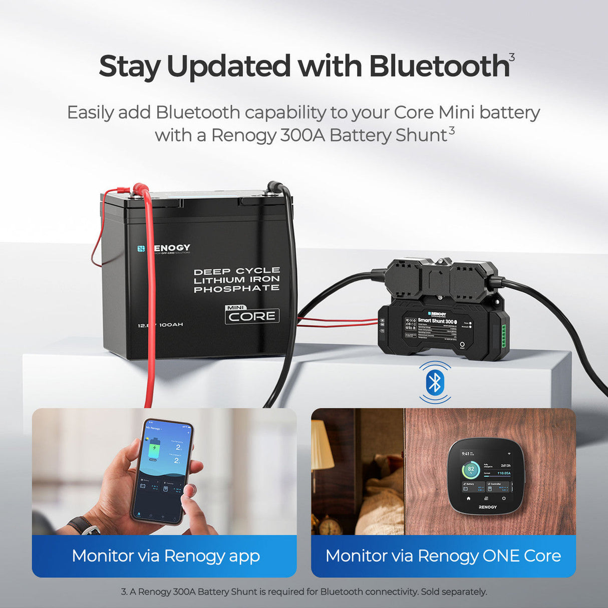 Renogy Core Mini –12,8 V 100 Ah Lithium Batterie