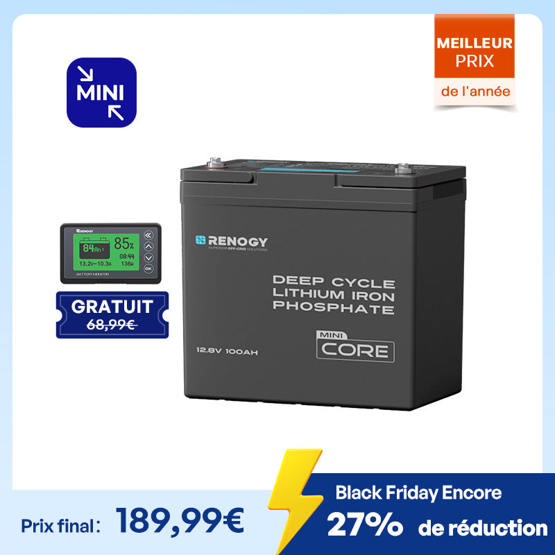 Core Mini – Lithium Iron Phosphate Battery 12.8 V 100 Ah