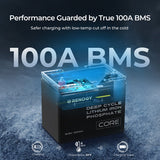 12V/24V/48V 100Ah Core Series Deep Cycle Lithium Iron Phosphate Battery
