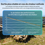 200W Panneau Solaire Bifacial N-Type
