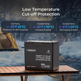 Core Mini DuoHeat — Batterie LiFePO₄ 12,8 V 100 Ah