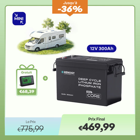 Renogy Core Mini Batterie Lithium 12,8V 300Ah avec BMS, Puissante mais Compacte, Camping-Car, Fourgon et Bateau