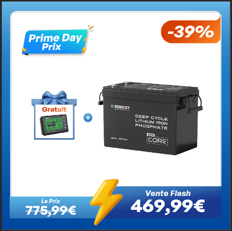 Prime Day Soldes Renogy Core Mini - 12,8V 300 Ah Batterie Lithium avec 500A moniteur