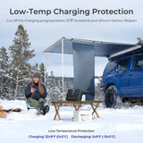 Rover Lite — Régulateur de charge solaire MPPT 60 A (12 V / 24 V / 36 V / 48 V)