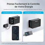 Renogy 12V 50A Chargeur de Batterie DC-DC avec MPPT et Bluetooth, le Contrôle  de Votre Énergie via APP.
