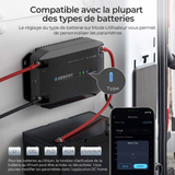 Renogy 12V 40A Chargeur de Batterie DC-DC Compatible avec la plupart des types de batteries : LI, GEL, FLD, AGM, USER
