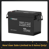 Core Mini 12.8V 300Ah LiFePO4 Battery, Ultra-Compact Design, with Low-Temperature Protection